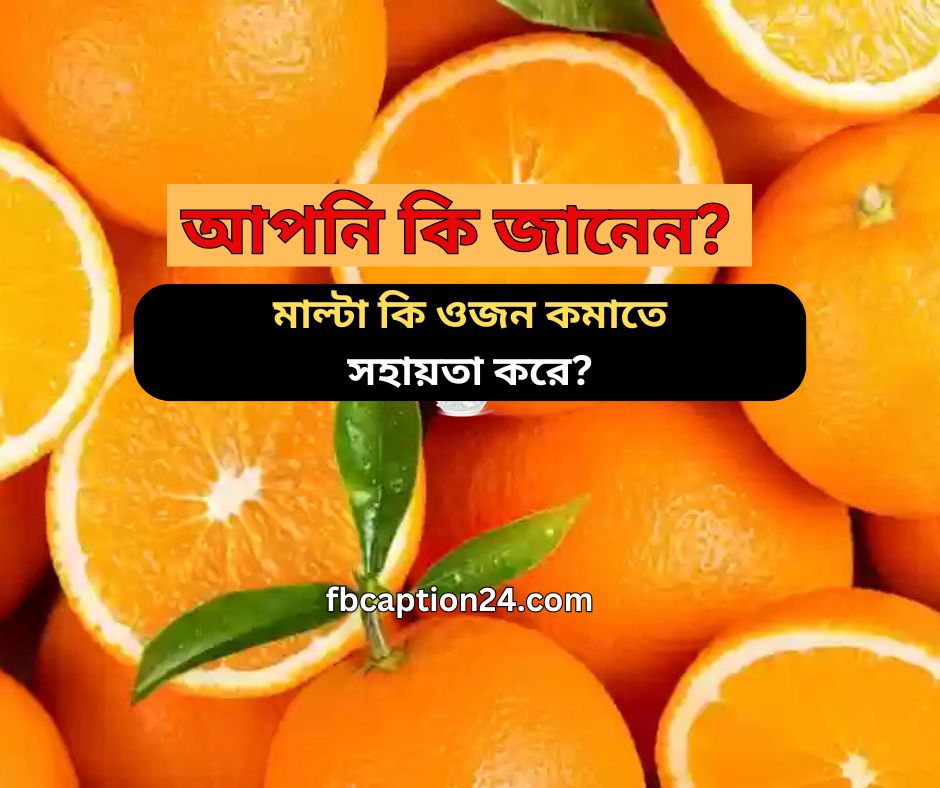 মাল্টা কি ওজন কমাতে সহায়তা করে?